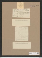 Cyclostella fimbriata Grun. (de-Toni-Nr.: Genus 216, Species 5430) Zeichnungen Sammlung Grunow Nr. 9340 (NHMW-BOT-W0379157)